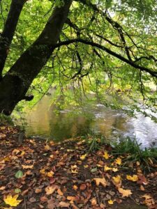 Morning Autumn Sign
