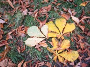 Autumn Leave