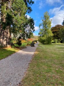 Autumn Castle