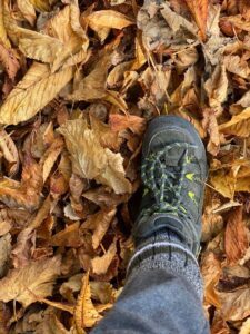 Autumn Leaves