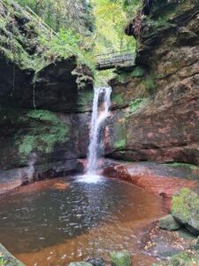 An Autumn Splash