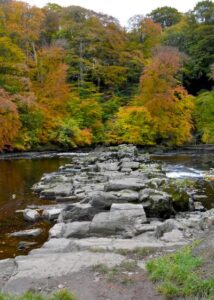 Stepping Across to Autumn
