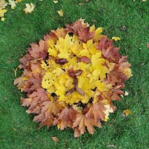 Autumn Palette